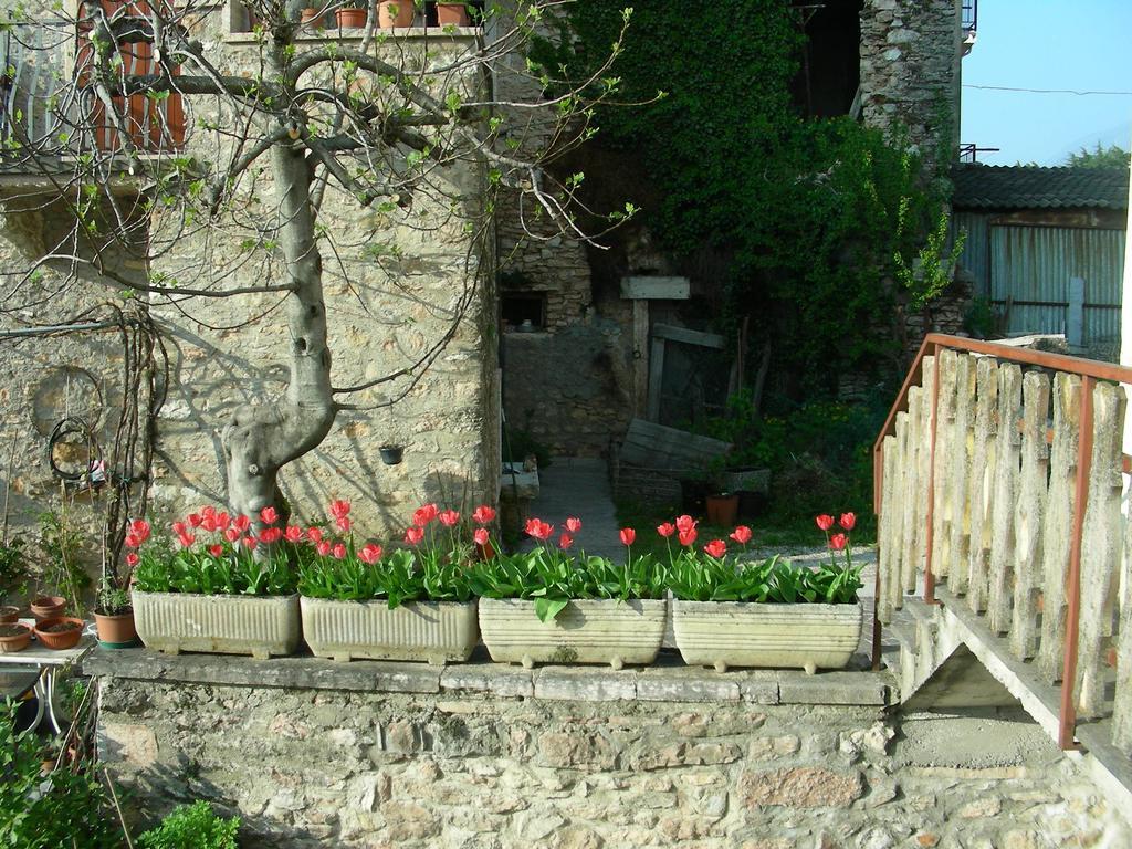 Casa Nadia Villa San Zeno di Montagna Kültér fotó